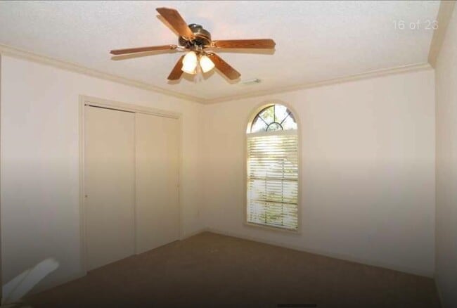 Building Photo - 414 Live Oak Ln