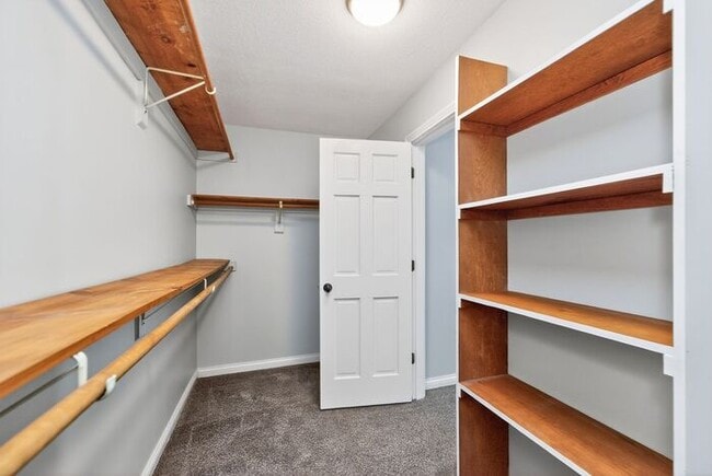 Building Photo - Beautiful Home surrounded by nature!