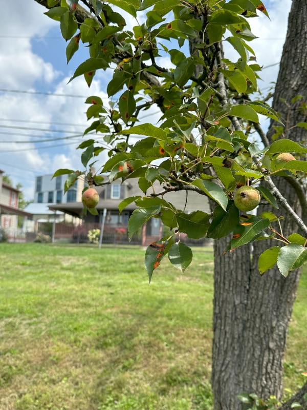 Building Photo - 1025 Cherry St