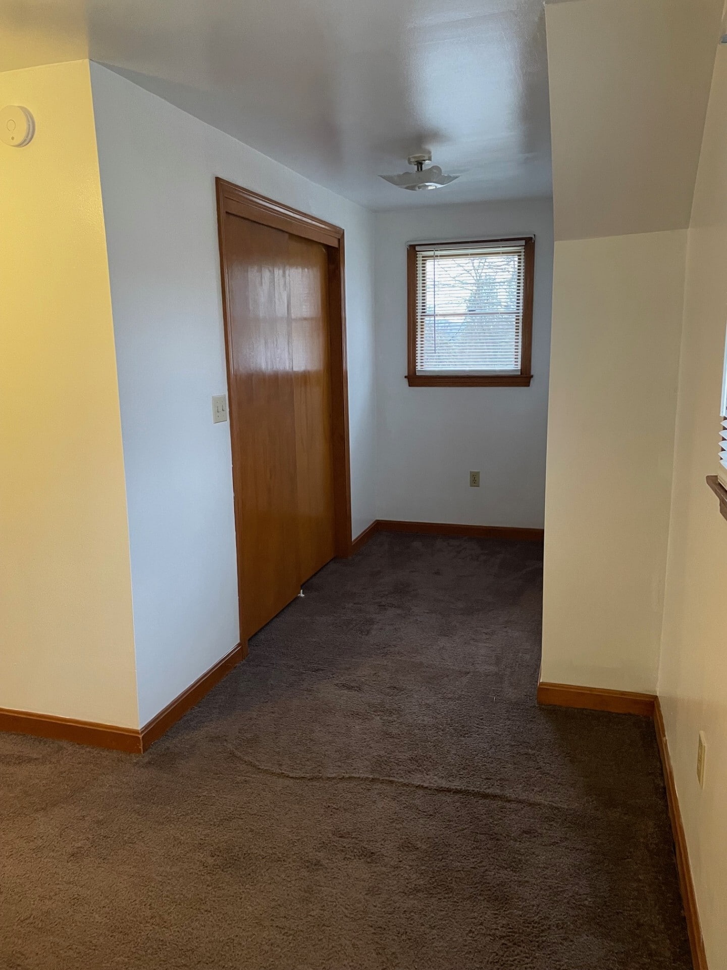 Building Photo - 677 Owsley St