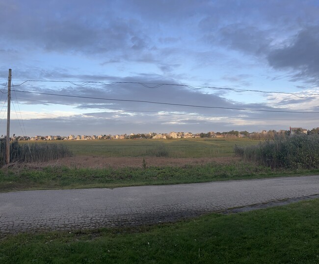 View of Cut Meadow (across street) - 99 New York St