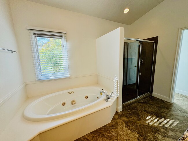 Jetted Tub and Shower - 589 Summit Ct