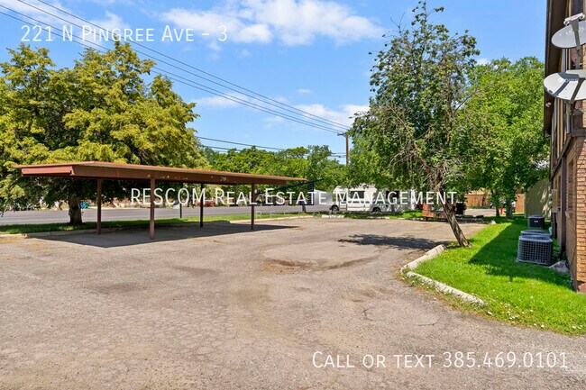 Building Photo - 221 N Pingree Ave
