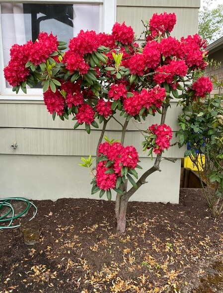 Garden - 7138 N Central St