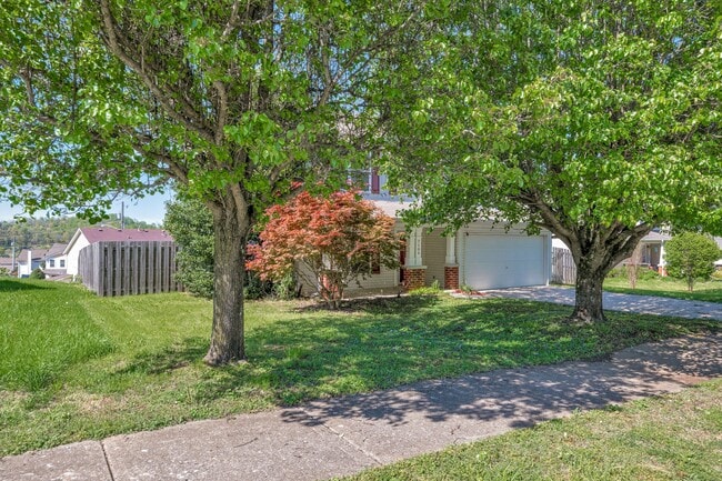 Building Photo - 7109 Commonwealth Cir