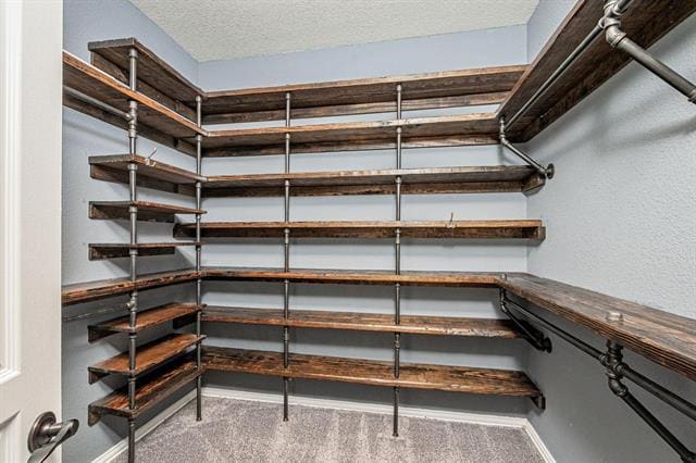 Building Photo - 1705 Emma Pearl Ln