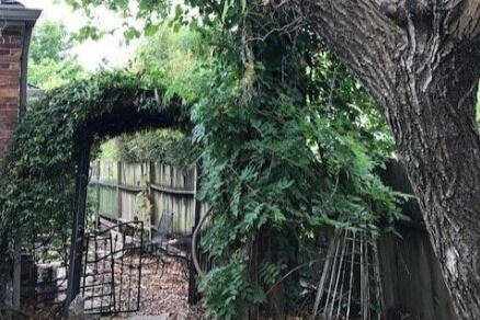 mature landscape - 942 Russell St
