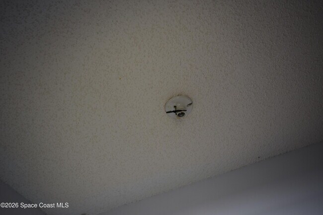 Building Photo - 1501 Jacobin St NW