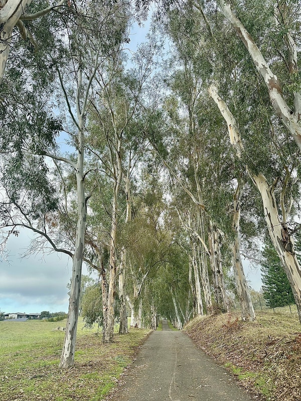 Building Photo - 6181 Wise Rd