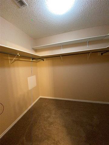 Building Photo - 313 Willow Oak Dr