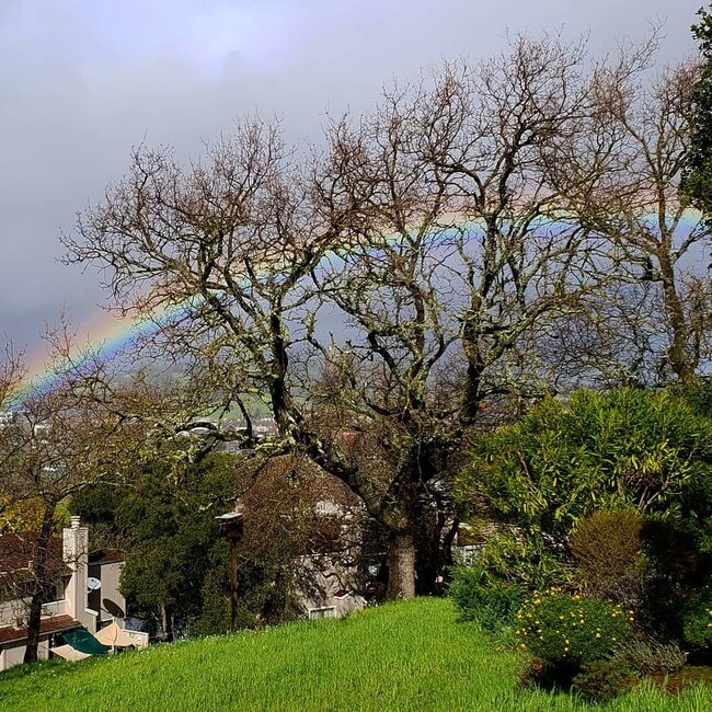 Building Photo - Stunning 2 Bed 2 Bath Condo in Novato, CA