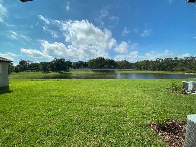 Building Photo - 12012 Miracle Mile Dr, Riverview, FL 33578
