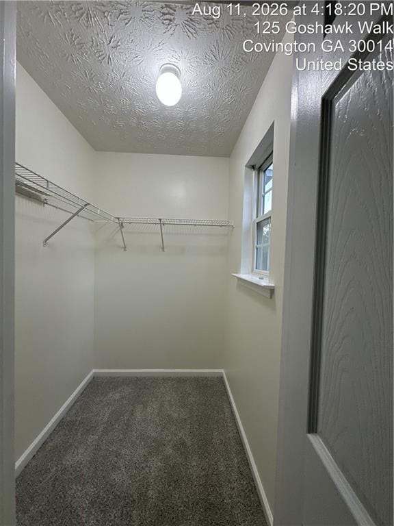 Building Photo - 125 Goshawk Walk