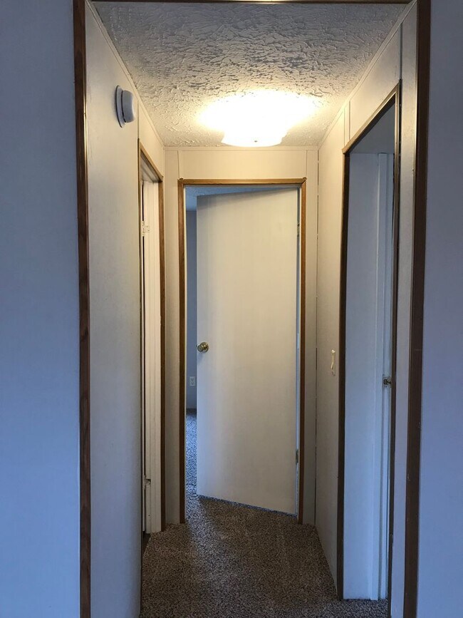 Building Photo - 3 Bedroom 2 Bath Home on 2 Acres For Rent!