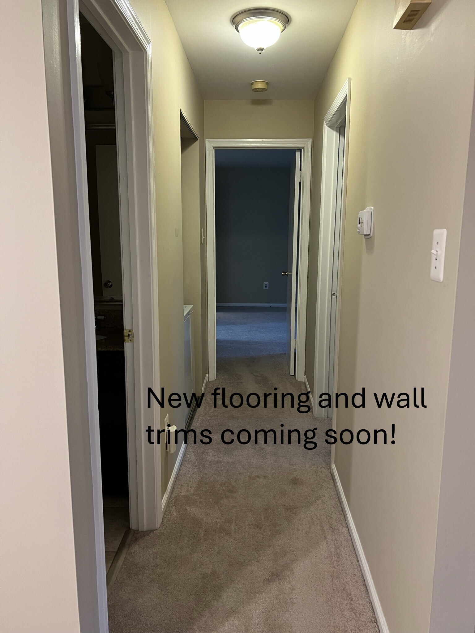 Hallway - 2605 Thistledown Ct