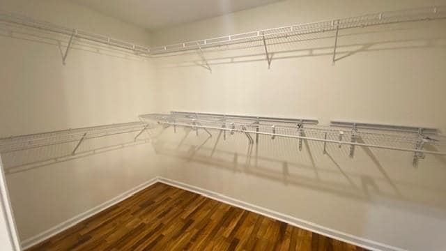 Building Photo - 1188 Elisa Gina Terrace NW