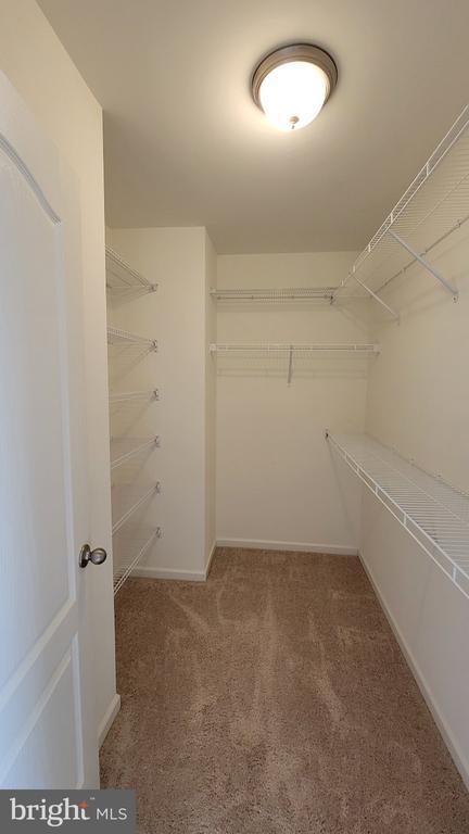 Building Photo - 39 Stafford Pl