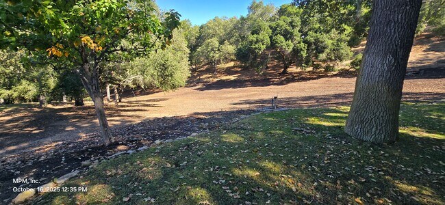 Building Photo - Large 3 bedroom home in the country