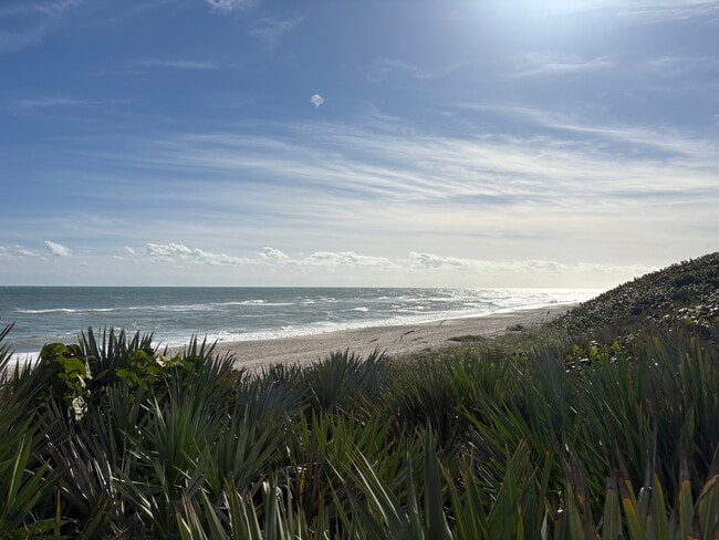 Building Photo - 562 Carousel Ln