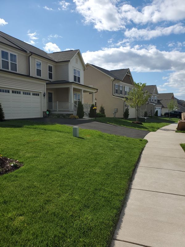 Building Photo - 8184 Skystone Loop