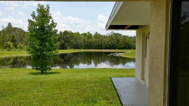 Building Photo - 4 Bedroom 3 Bath Home - Kissimmee ~ Southp...