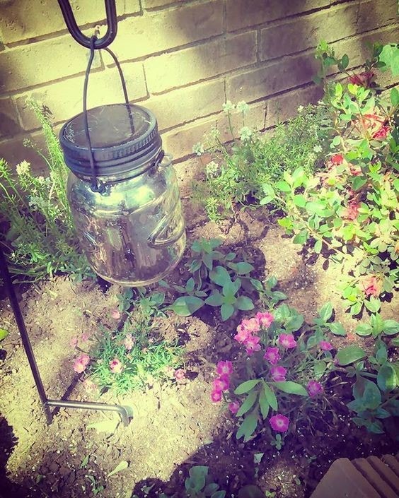 Athena Garden Apartments 900 E Corsicana St Athens TX 75751 Apartment Finder