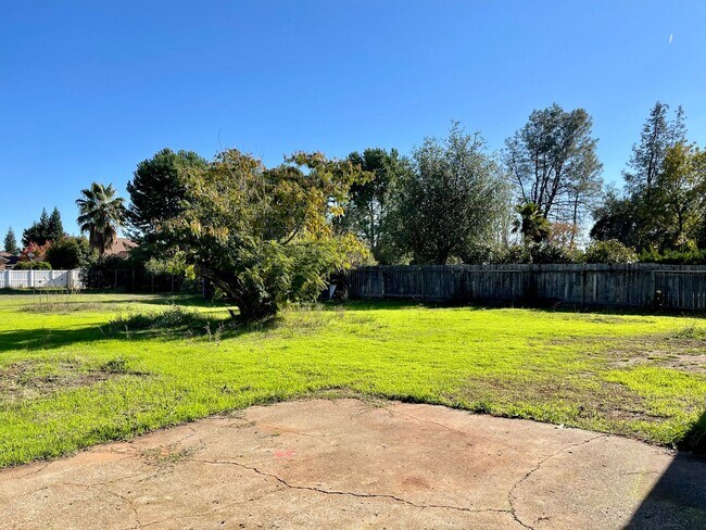 Building Photo - 4 bedroom home in convenient location on Alta Mesa Dr.