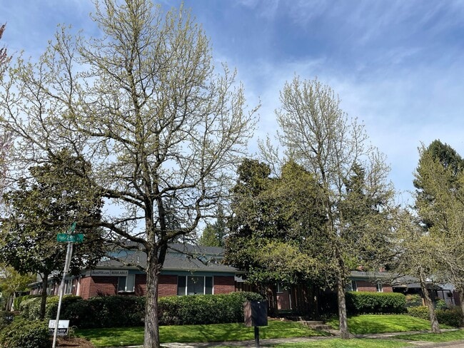 Building Photo - Lower 2bed/1bath in Alberta Arts! Off street parking, dw, hardwoods, all dogs welcome!