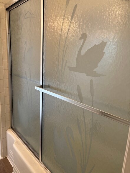 Tub and Shower - 1038 Buena Vista Dr SE