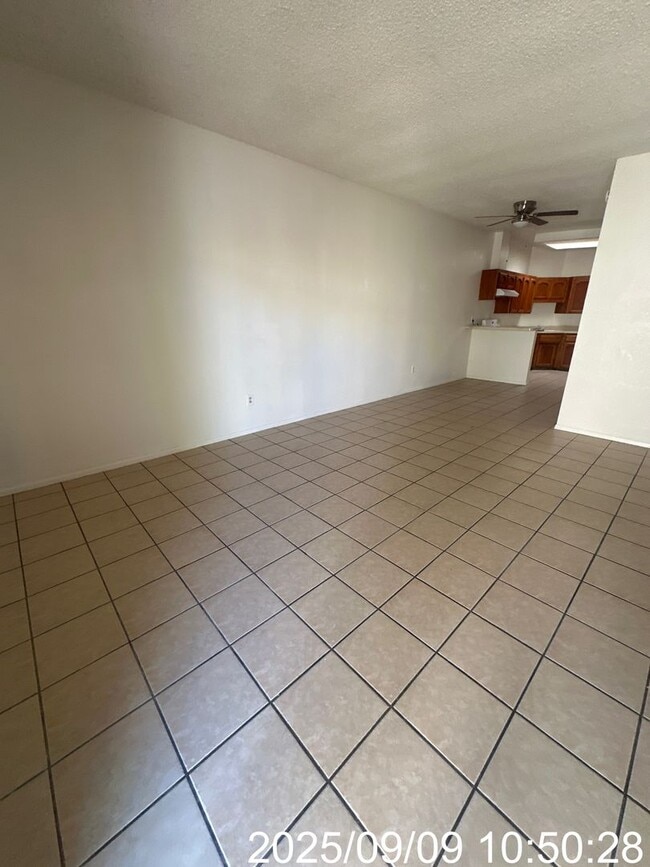 Building Photo - 3608 Sampson Ct