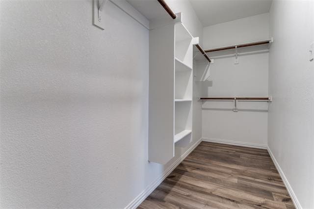 Building Photo - 1207 Mesquite Ln