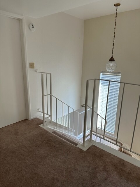 Building Photo - 301 Albion Ct