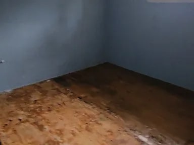 Building Photo - 539 Erie St