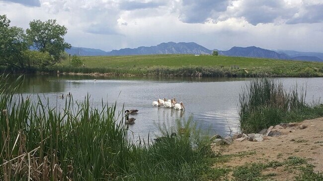 Building Photo - 3112 Rock Creek Dr