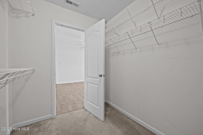 Building Photo - 203 Seville St