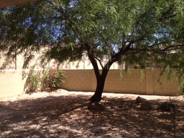 Building Photo - COMING SOON - Open and Airy 4 Bedroom Home with Private Pool in West Wing Peoria!!!