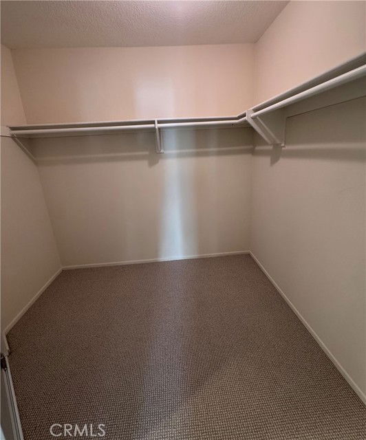 Building Photo - 43 Calle Melinda