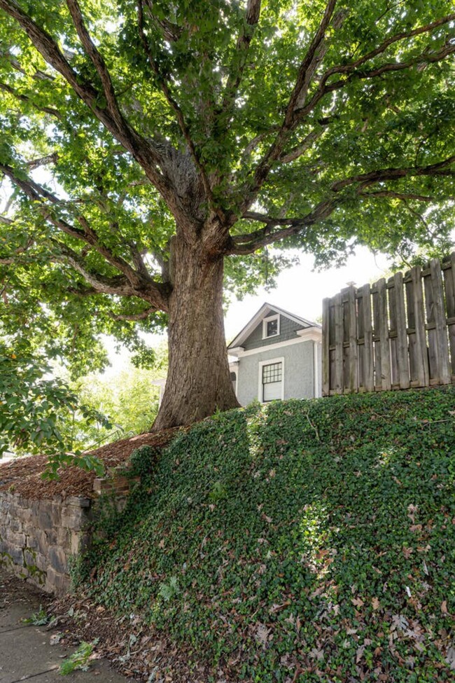 Building Photo - 331 S French Broad Ave