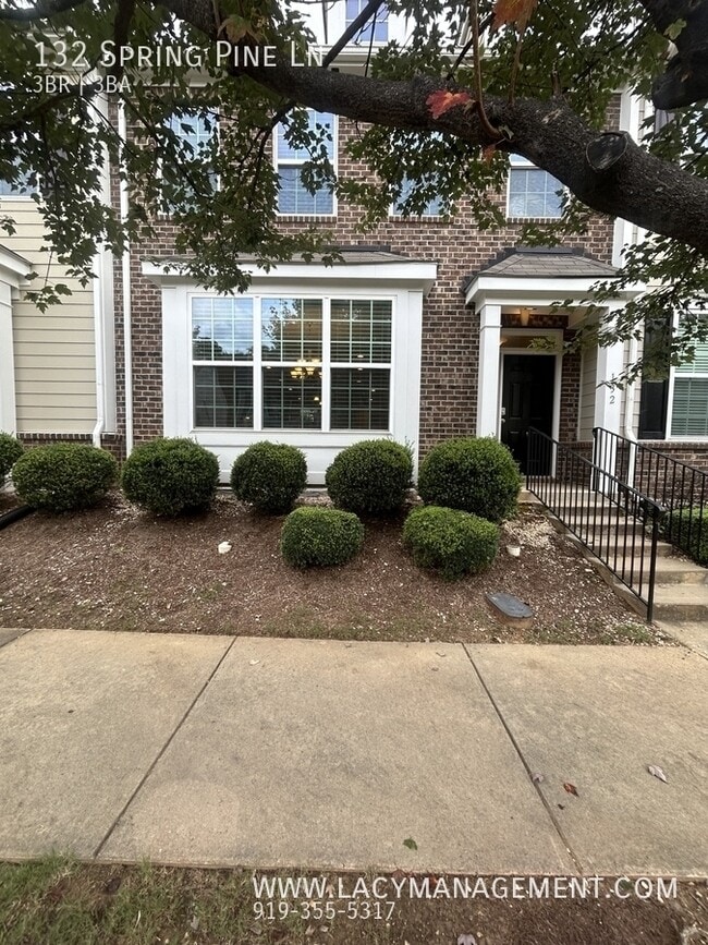 Building Photo - 132 Spring Pine Ln