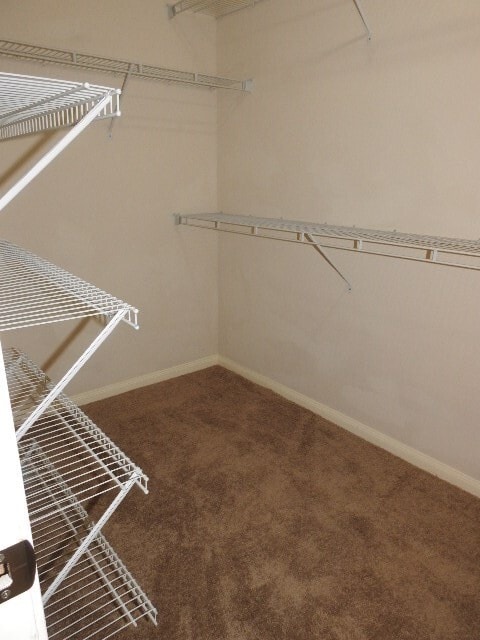 Building Photo - 25107 Hazel Ranch Dr