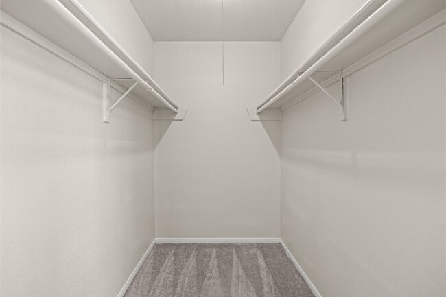 Building Photo - 9707 Pine Pass Dr