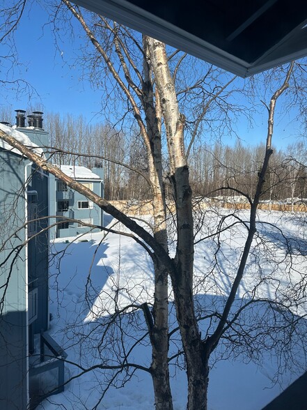 Building Photo - 1631 Eastridge Dr