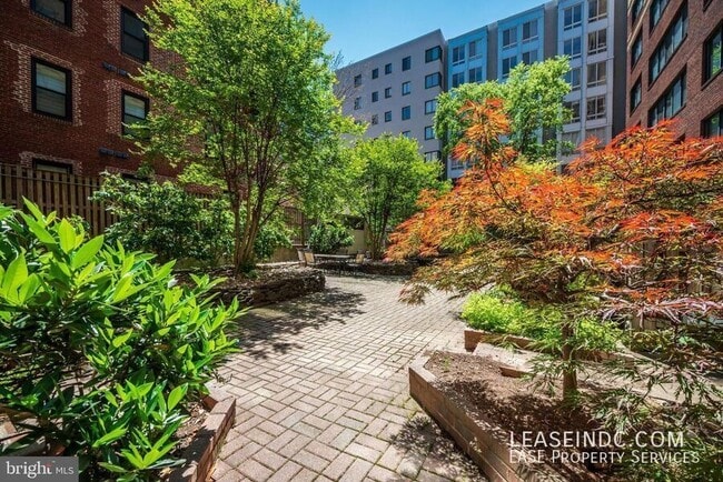 Building Photo - 1245 13th St NW