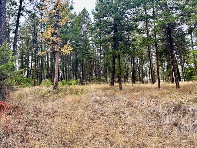 Building Photo - 110 Rimini Rd