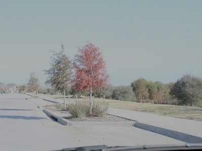 Building Photo - 15609 Canyon Ridge