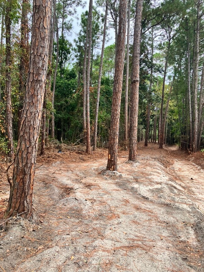 Building Photo - 212 Francis St