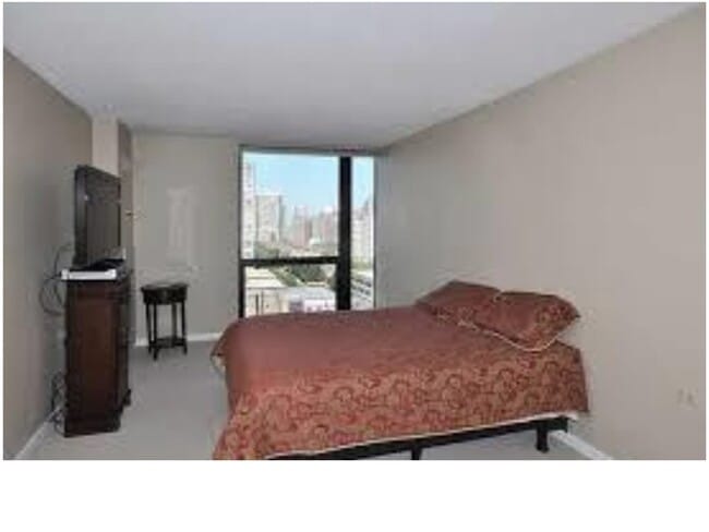 Master with view - 1122 N Clark St