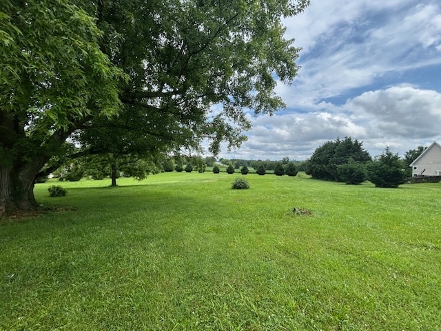 Backyard - 511 E Old Andrew Johnson Hwy
