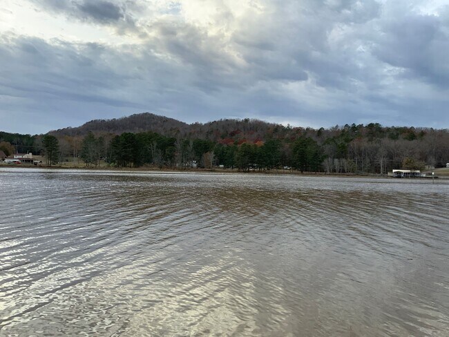 Building Photo - Coolant River Water Front 4 Bedrooms / 2 F...