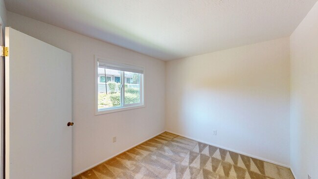 Building Photo - 356 Robinson St